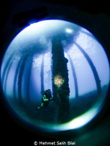 An Underwater photographer under the pier. by Mehmet Salih Bilal 